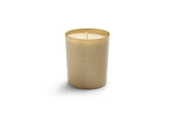 Duftkerze Moments Summer Night 13 Duftkerze Moments Summer Night -Deutschland Vtwonen Verkaufs-Shop 0005 candle xl summer night 1