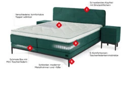 Deutschland Vtwonen Verkaufs-Shop -Deutschland Vtwonen Verkaufs-Shop boxspringbett lifestyle beigelung basil