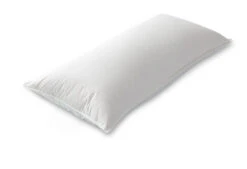 Das Nachhaltige Kopfkissen -Deutschland Vtwonen Verkaufs-Shop dixxius comfort green hoofdkussen 40x80 2 1 1